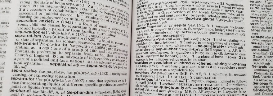 open dictionary with "s" words