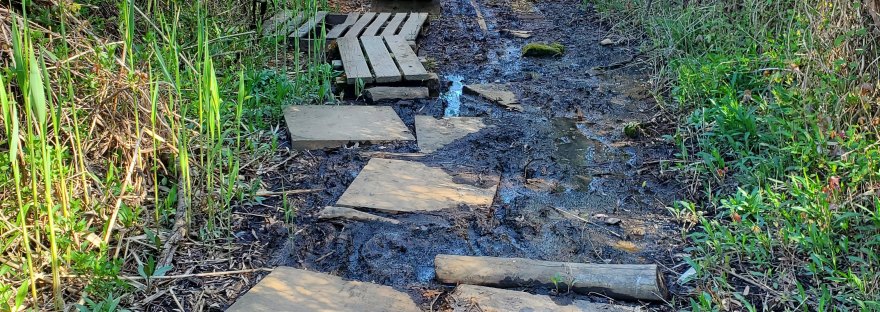 muddy forest path with haphazard concrete pavers